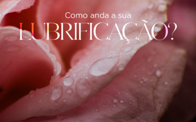 Como anda a sua lubrificação?